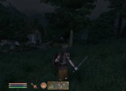 The Elder Scrolls IV: Oblivion