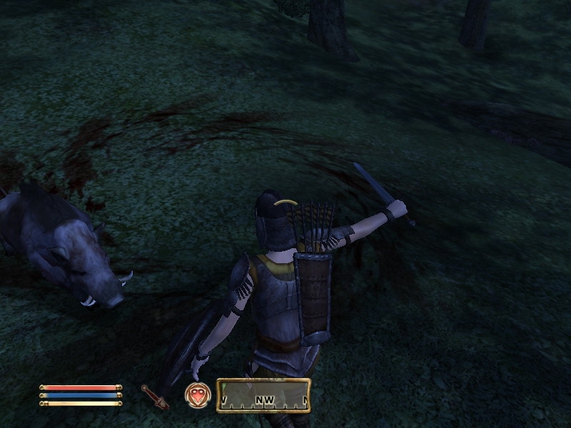 The Elder Scrolls IV: Oblivion