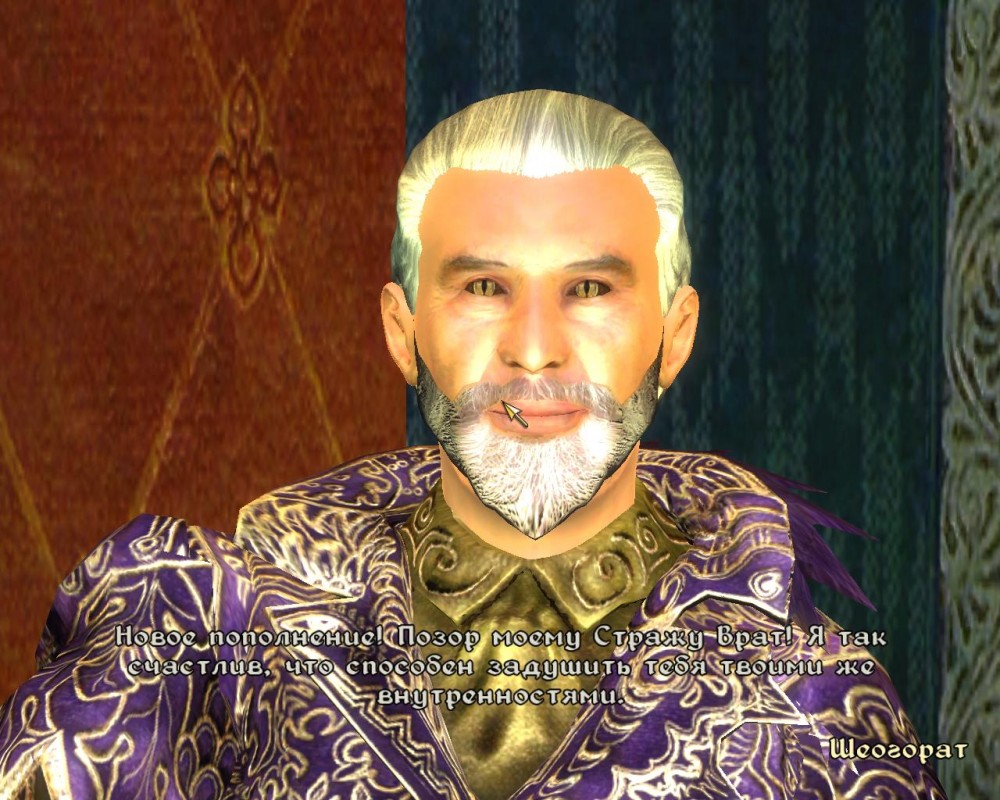 The Elder Scrolls IV: Oblivion