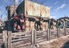 Fallout 4