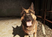Fallout 4