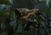 Turok