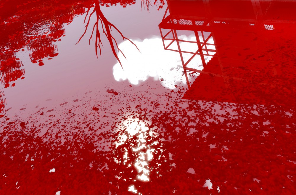 The Witness