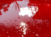 The Witness screenshot