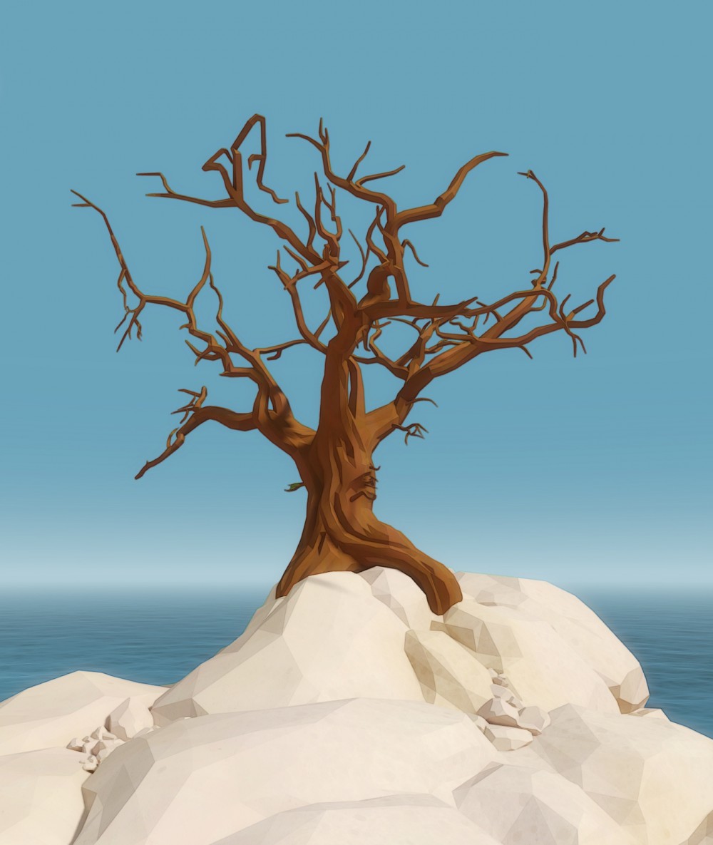 The Witness