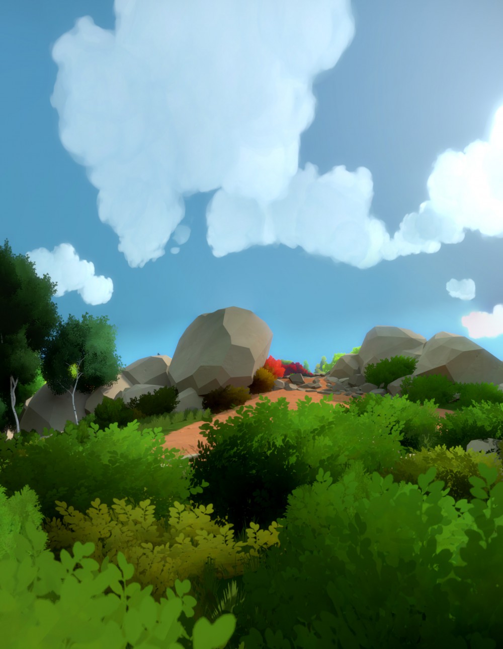 The Witness