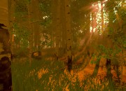 Firewatch