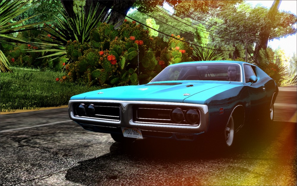Test Drive Unlimited