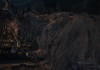 Bloodborne