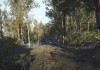 Everybody's Gone to the Rapture