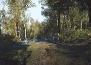 Everybody's Gone to the Rapture