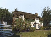 Everybody's Gone to the Rapture