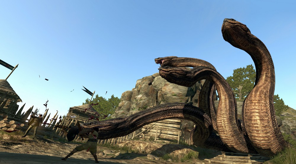 Dragon's Dogma