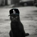 Black_D